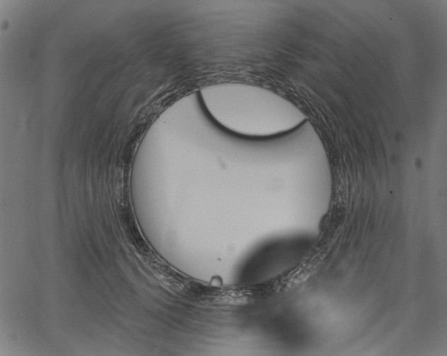 X0000067390656200604031034