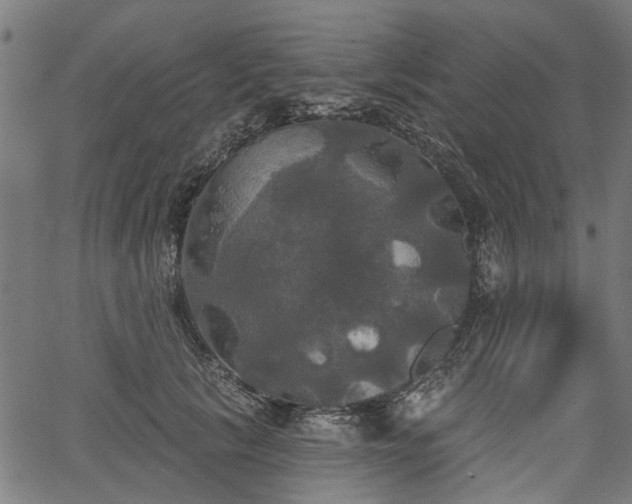 X0000067390657200604031034