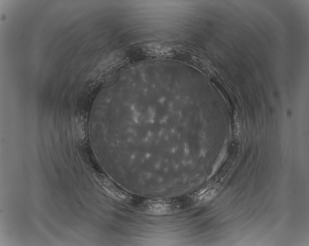 X0000067390658200604031034