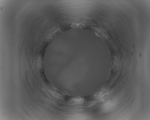 X0000067390659200604031034