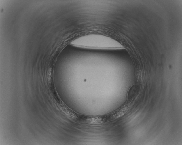 X0000067390660200604031034