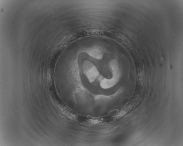 X0000067390662200604031034