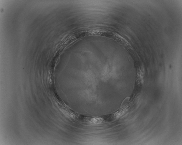 X0000067390663200604031034