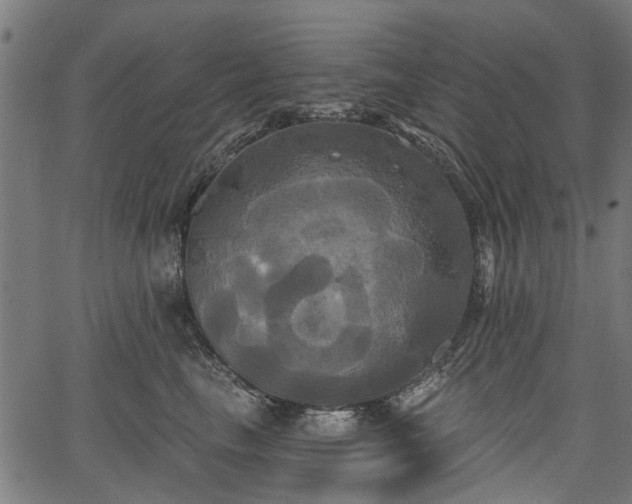 X0000067390665200604031034