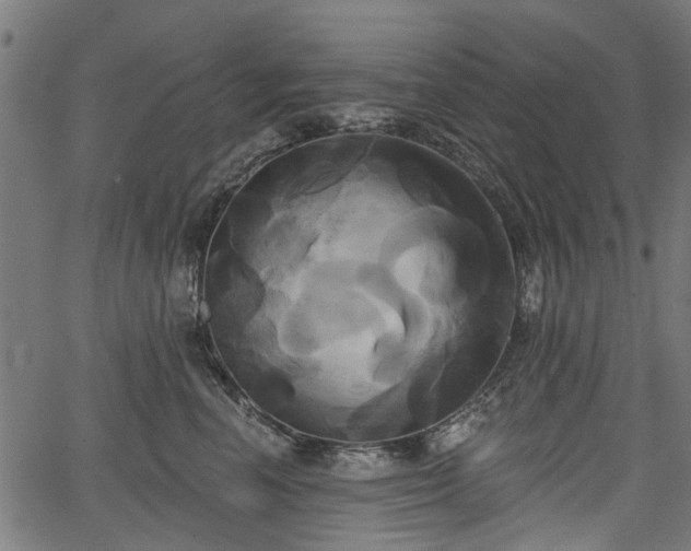 X0000067390666200604031034