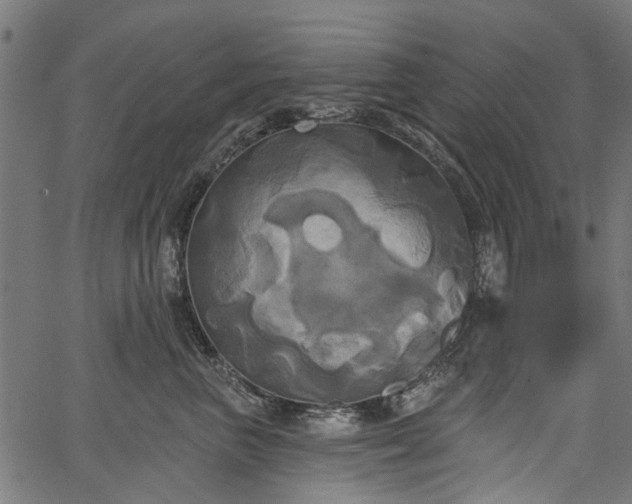 X0000067390667200604031034