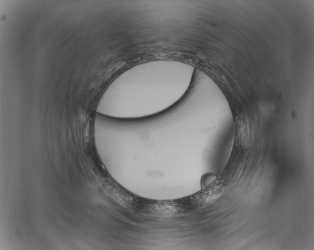 X0000067390668200604031034