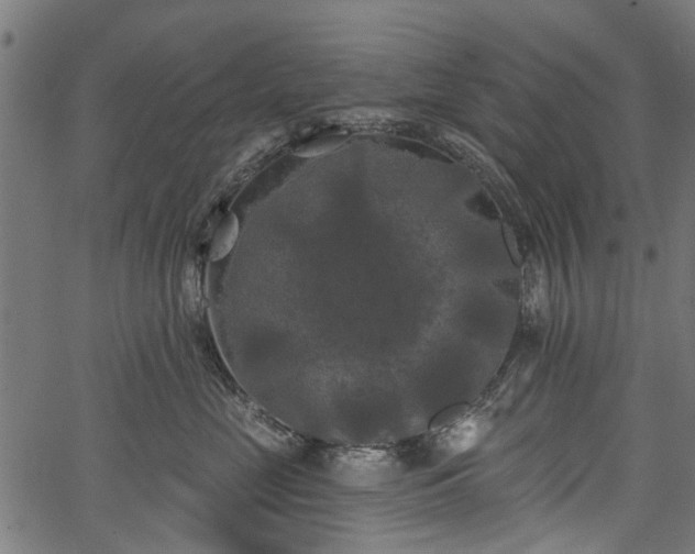 X0000067390669200604031034