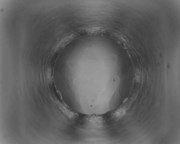 X0000067390670200604031034