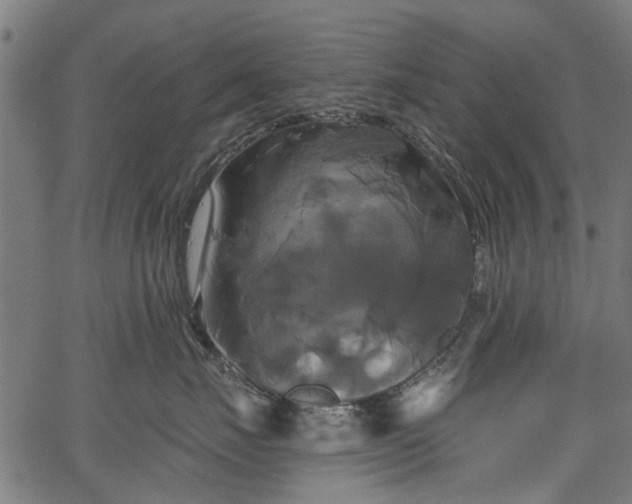 X0000067390671200604031034