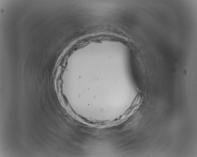 X0000067390672200604031034