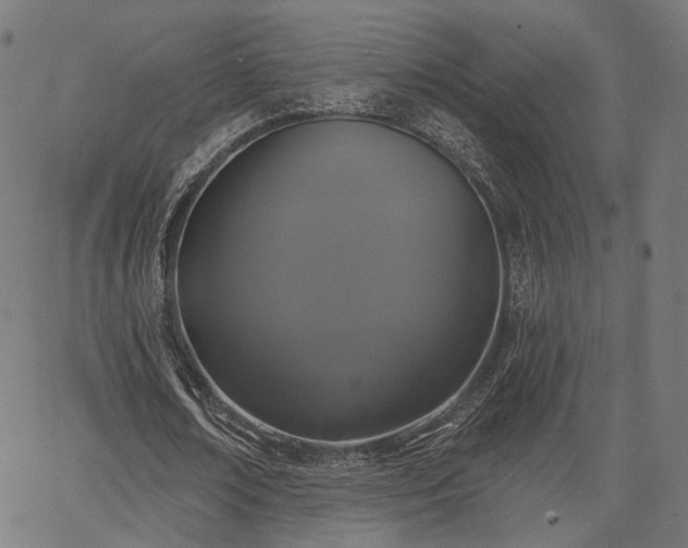 X0000067390674200604031033