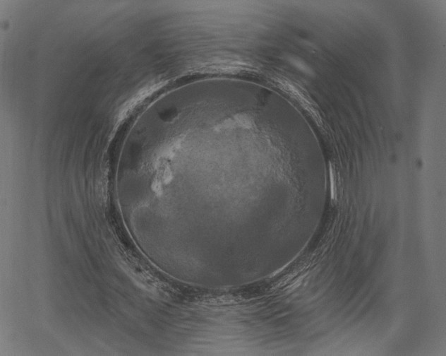 X0000067390675200604031033