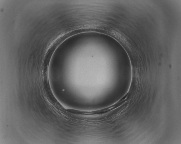 X0000067390676200604031033