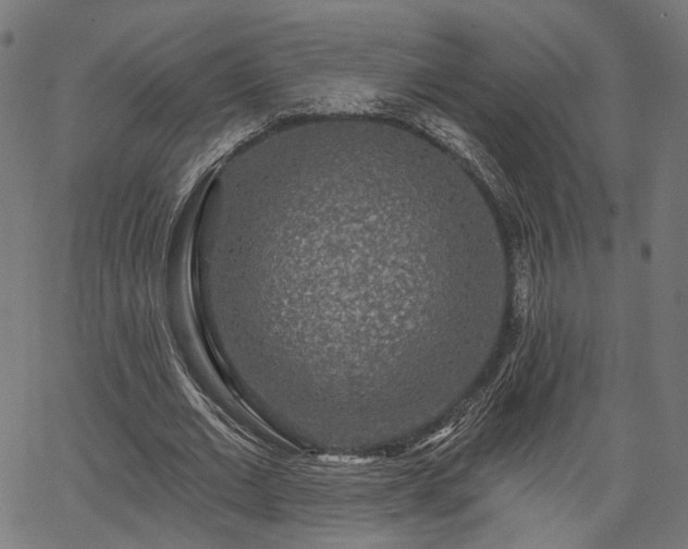 X0000067390677200604031033