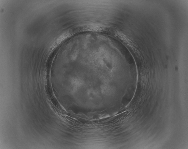 X0000067390679200604031033