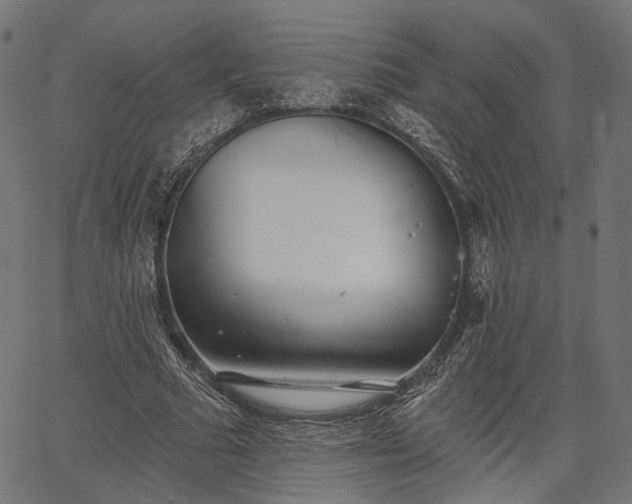 X0000067390681200604031033