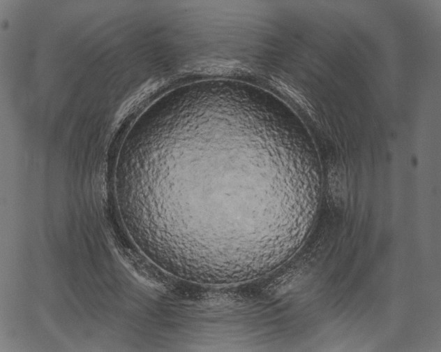 X0000067390682200604031033