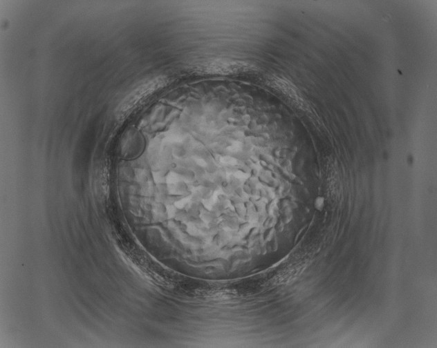 X0000067390683200604031033