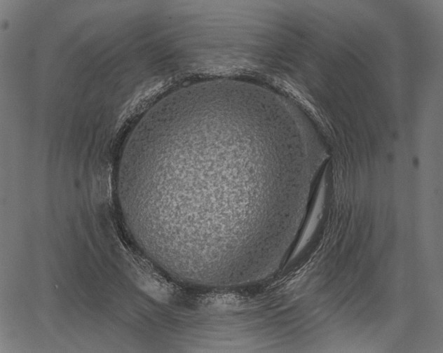 X0000067390685200604031033