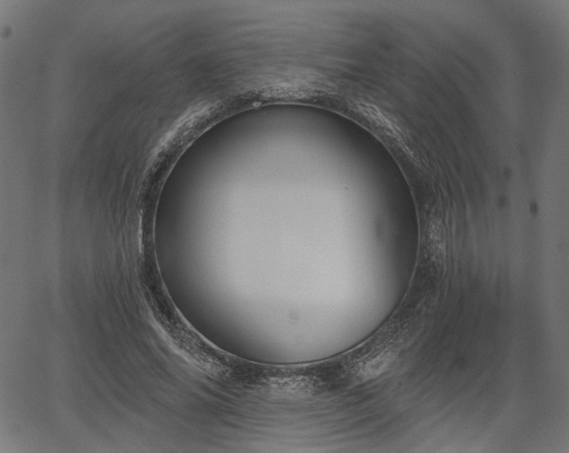 X0000067390686200604031033