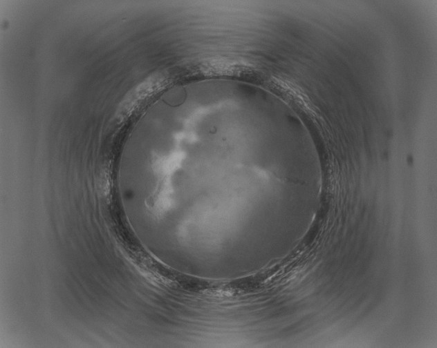 X0000067390687200604031033