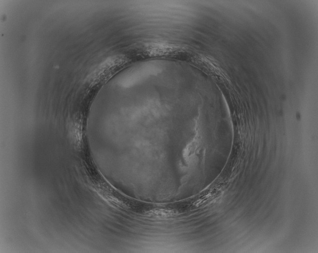 X0000067390691200604031033