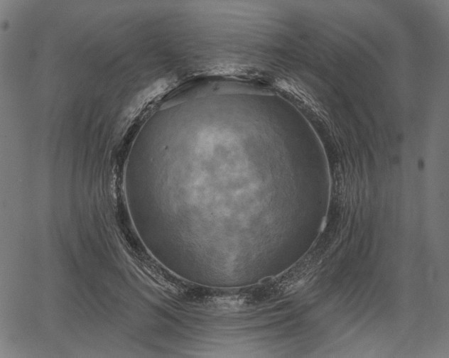 X0000067390692200604031033