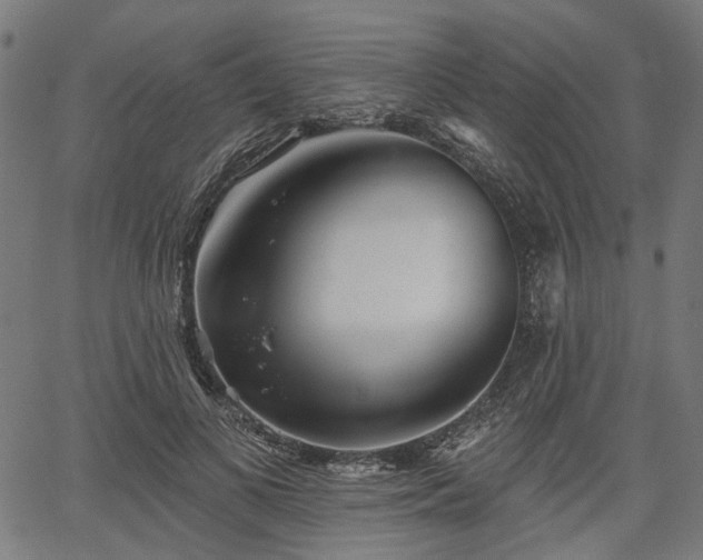 X0000067390693200604031033