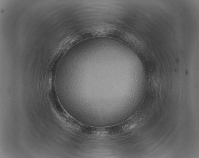 X0000067390694200604031033