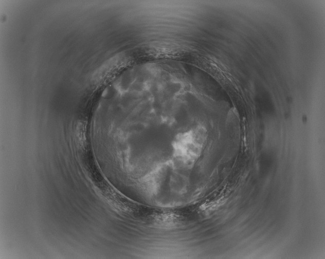 X0000067390695200604031033