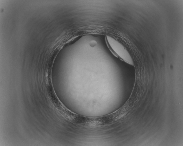 X0000067390696200604031033