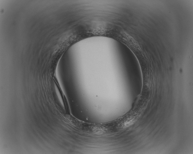 X0000067390697200604031033