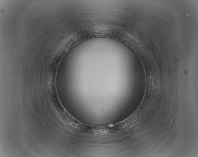 X0000067390698200604031033