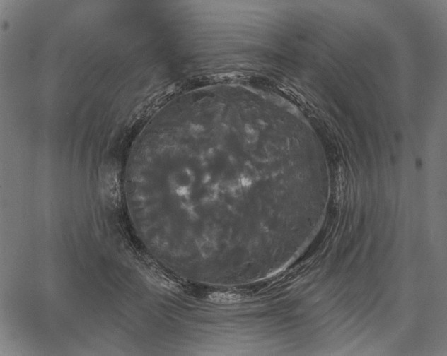 X0000067390699200604031033