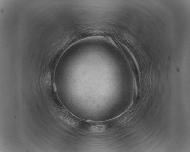 X0000067390700200604031033