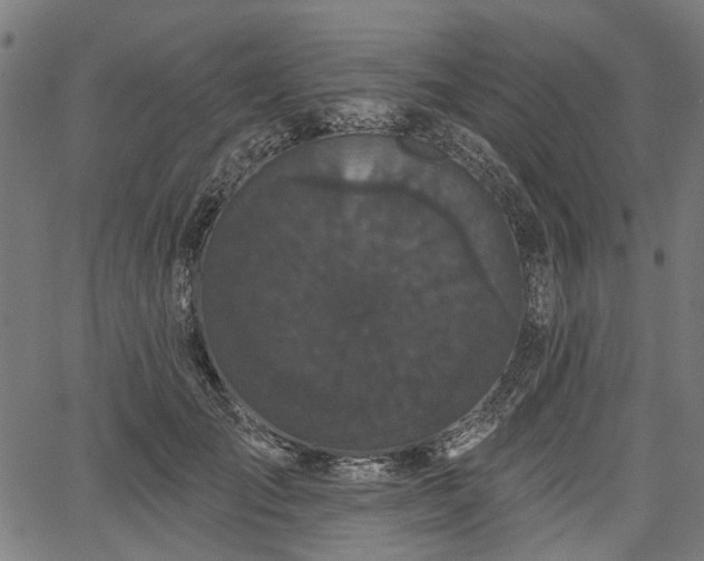 X0000067390701200604031033