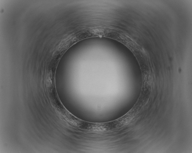 X0000067390702200604031033