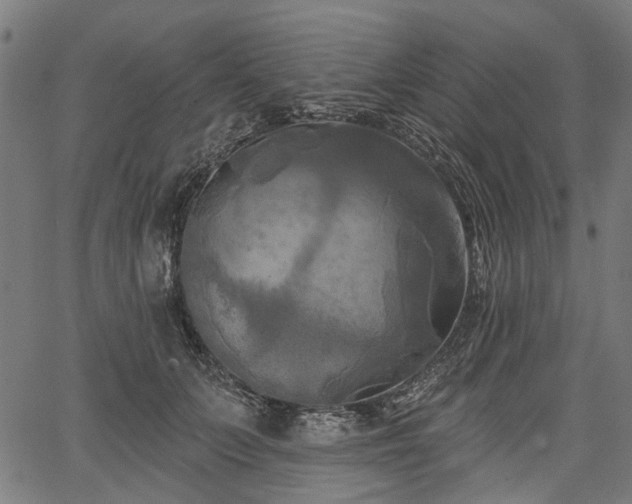 X0000067390703200604031033