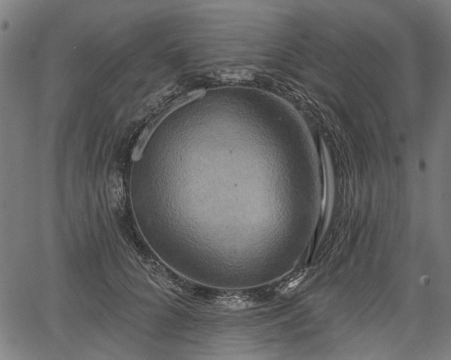 X0000067390704200604031033