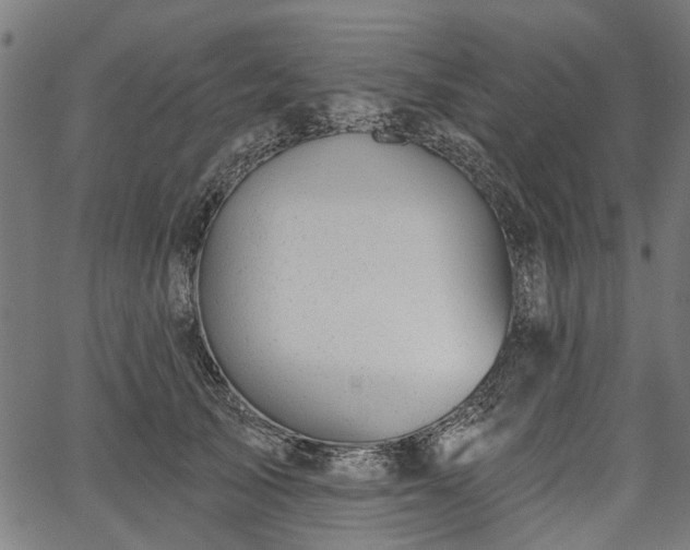 X0000067390705200604031033