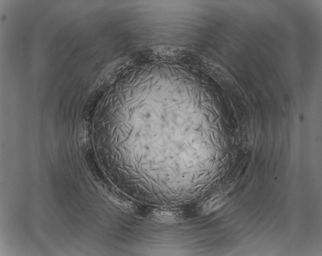 X0000067390706200604031033