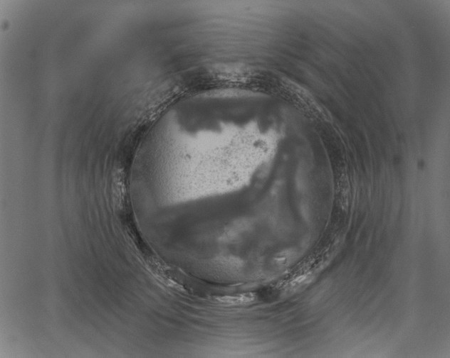 X0000067390707200604031033