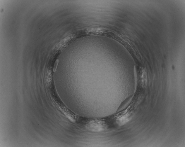 X0000067390708200604031033