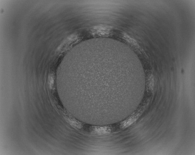 X0000067390709200604031033