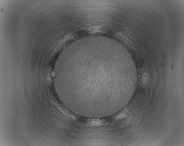 X0000067390710200604031033