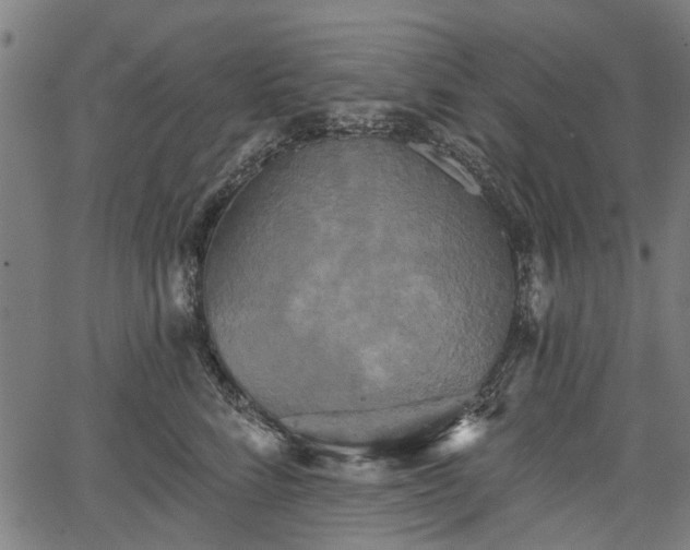 X0000067390712200604031033