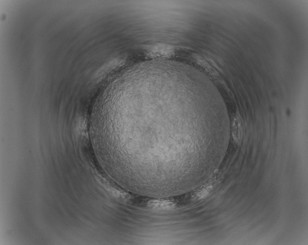 X0000067390714200604031033