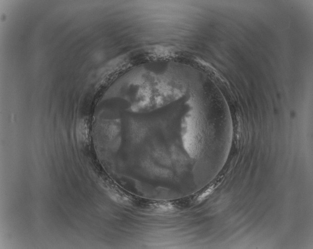 X0000067390715200604031033