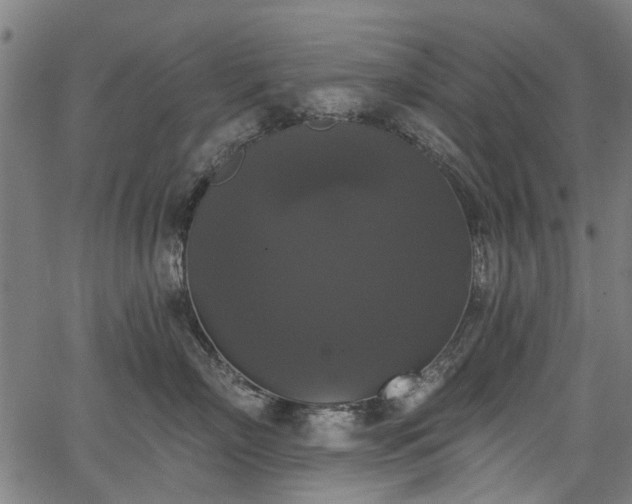 X0000067390718200604031033